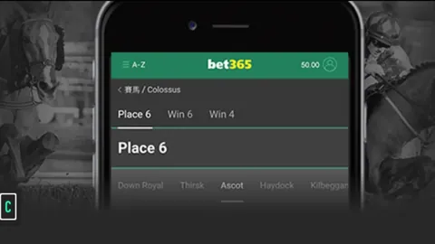 “[篮球公园]中国篮球公开赛总决赛落幕”